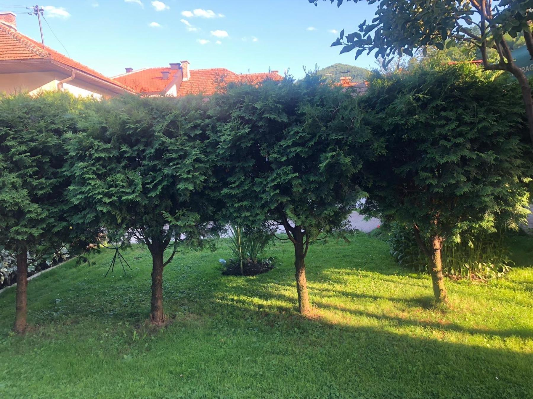 ויסוקו Apartman Balkan מראה חיצוני תמונה